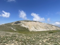 IMG_0022