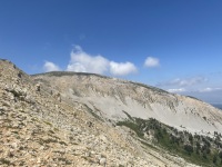 IMG_0028