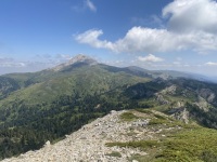 IMG_0029