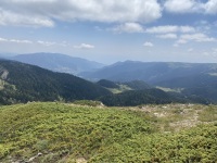 IMG_0030
