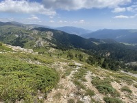 IMG_0031