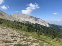 IMG_0033