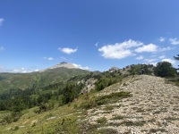 IMG_0034