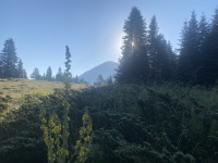 IMG_9881