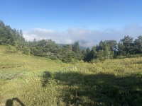 IMG_9920