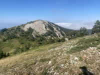 IMG_9927