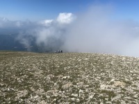 IMG_9967