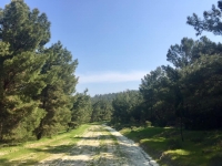 i17