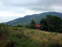 DSC04506