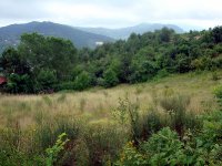 DSC04507