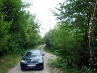 DSC04509