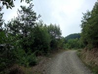 DSC04510