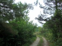 DSC04515