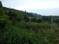 DSC04517