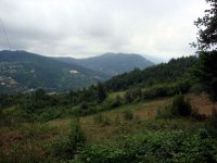 DSC04520