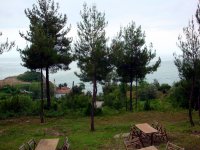 DSC04539
