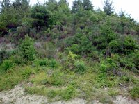 DSC04563