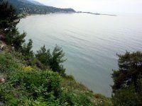 DSC04567