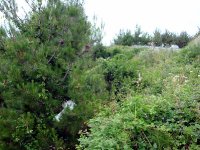 DSC04568