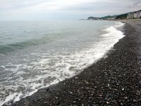 DSC04598