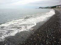 DSC04601