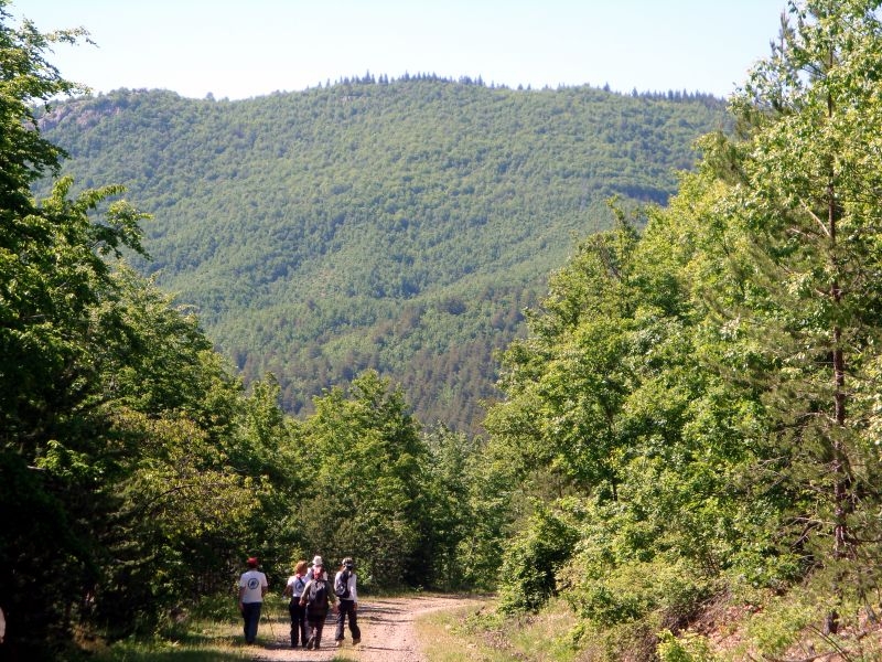 Kastamonu
