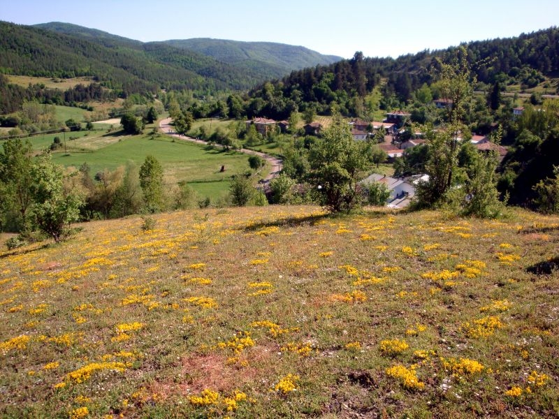 Kastamonu