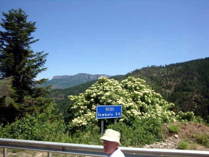 Kastamonu