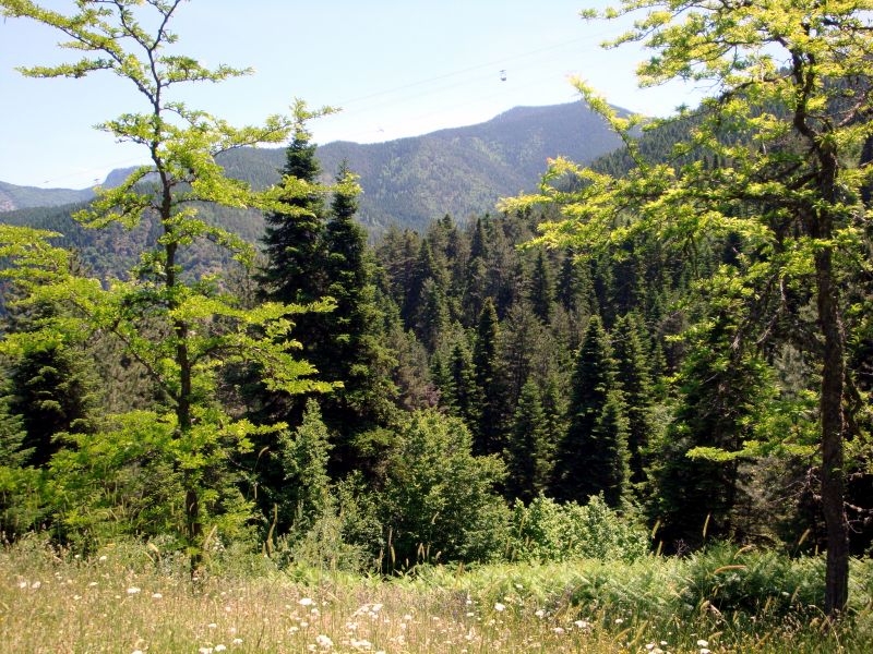 Kastamonu