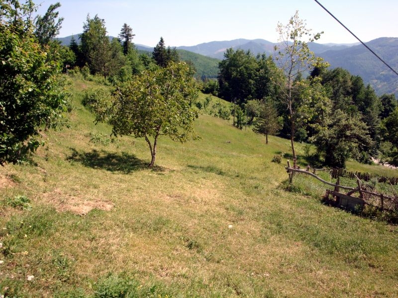 Kastamonu