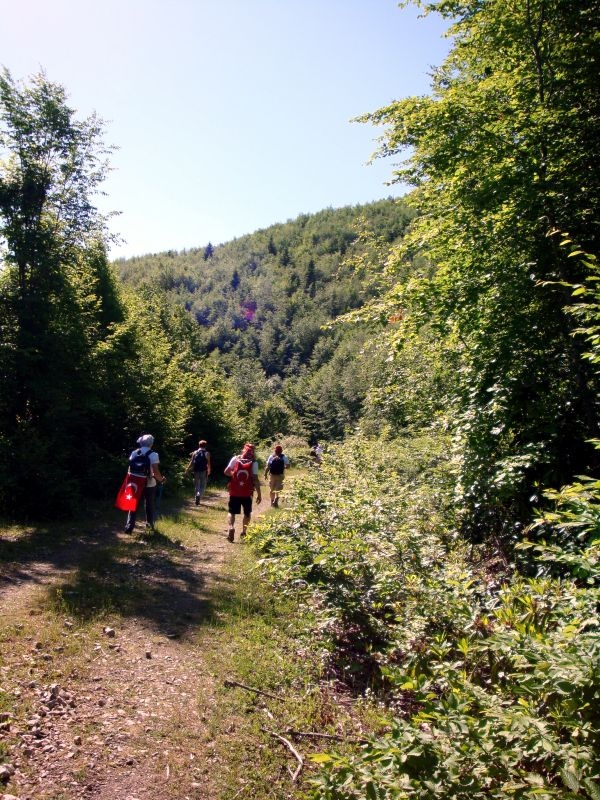 Kastamonu