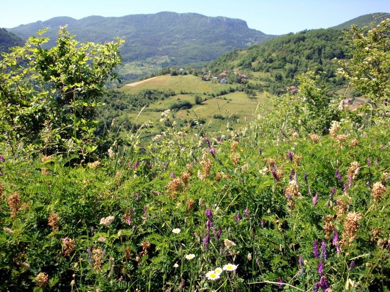 Kastamonu