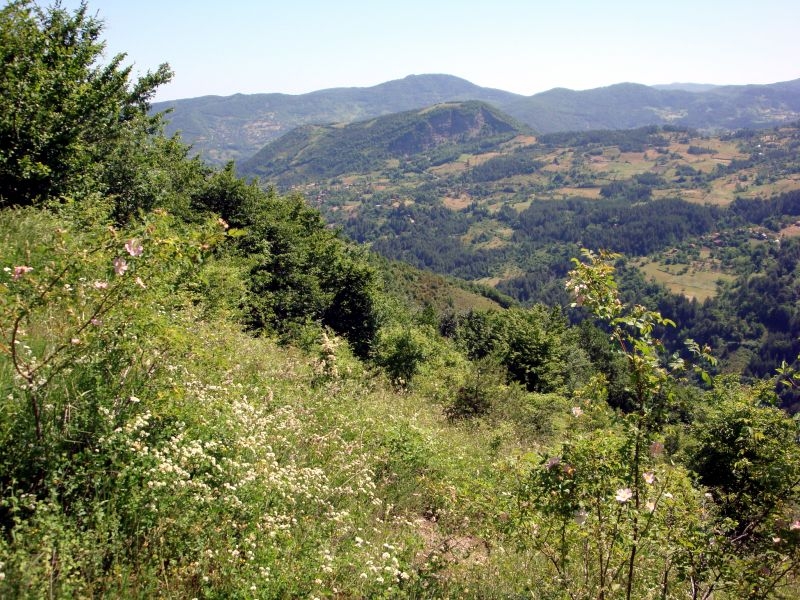 Kastamonu