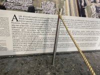 IMG_5539
