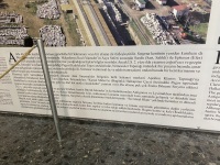 IMG_5540
