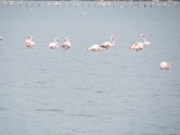 IMG_0022