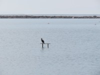 IMG_0029