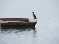 IMG_0034