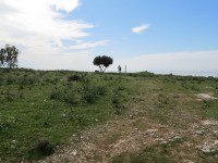 IMG_0065