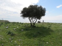 IMG_0066