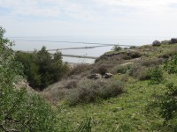 IMG_0072