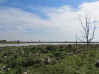 IMG_0074