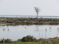 IMG_0075