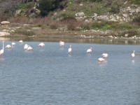 IMG_0078