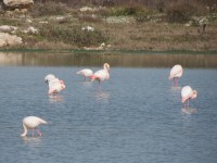 IMG_0080