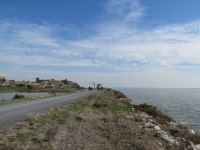 IMG_0081