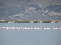 IMG_0089