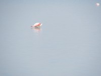 IMG_0092