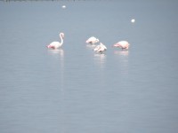 IMG_0093