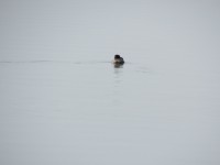 IMG_0094